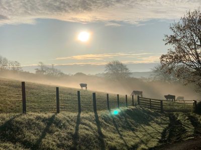 Fox Valley Cottages, nr Looe, Cornwall